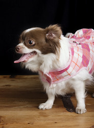 Similar image 1519388