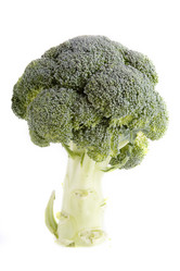 Similar image 1519408