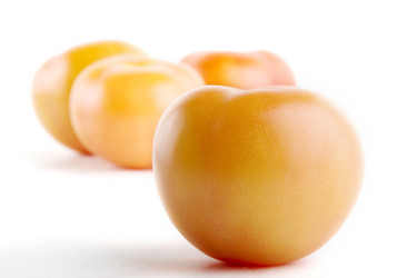 Similar image 1519415