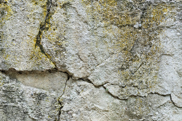 Similar image 1519491