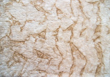 Similar image 1519522