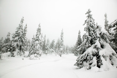 Similar image 1519524