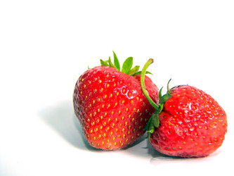 Similar image 1519604