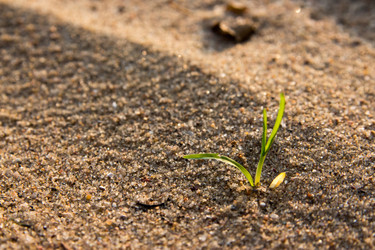 Similar image 1519613