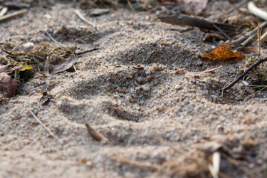 Similar image 1519616