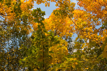 Similar image 1519617