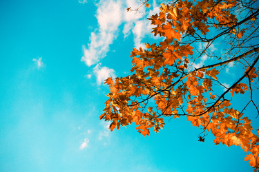 Similar image 1519621