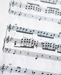 Similar image 1519733