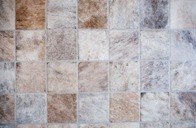 Similar image 1519783