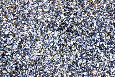 Similar image 1519873