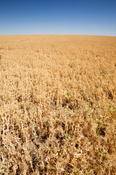 Similar image 1519901