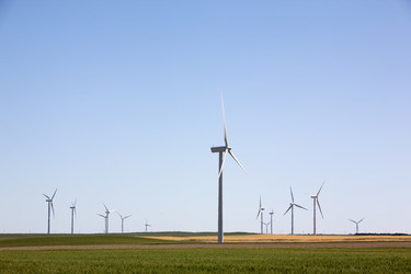 Similar image 1519921