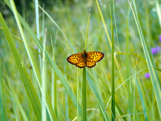 Similar image 1520021