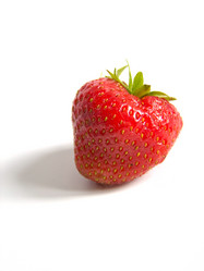 Similar image 1520022