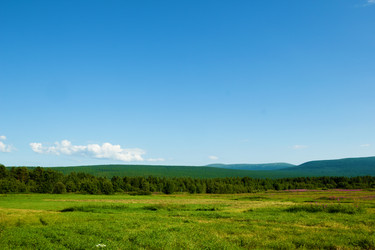 Similar image 1520074