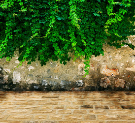 Similar image 1520100