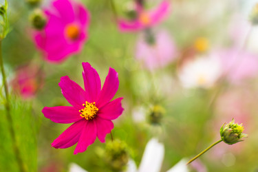 Similar image 1520109