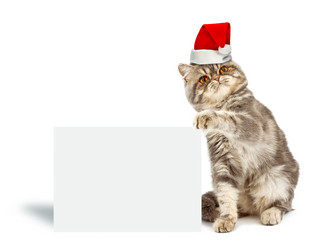 Similar image 1520111