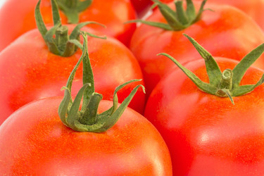 Similar image 1520116