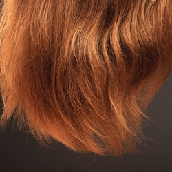 Similar image 1520127