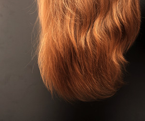 Similar image 1520128