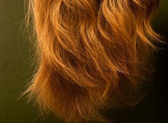 Similar image 1520131