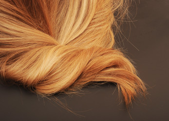 Similar image 1520133