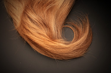 Similar image 1520135