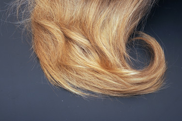 Similar image 1520136