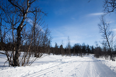 Similar image 1520346