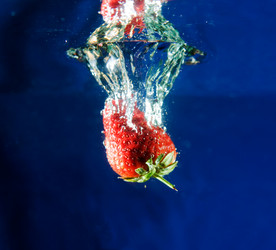 Similar image 1520421