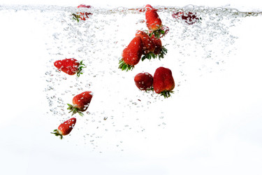 Similar image 1520436