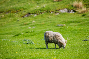 Similar image 1520497