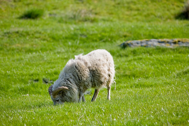 Similar image 1520507