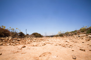 Similar image 1520597