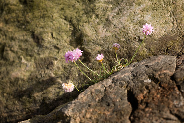 Similar image 1520641