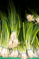 Similar image 1520667