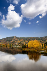 Similar image 1520673