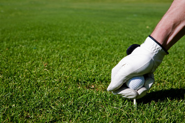 Similar image 1520681