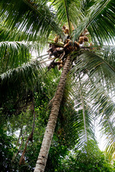 Similar image 1521092