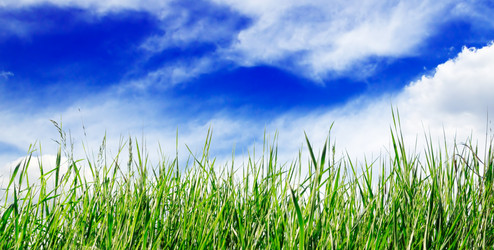 Similar image 1521151