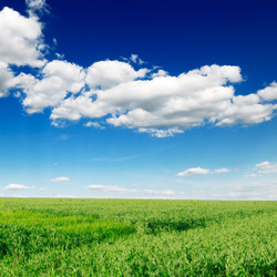 Similar image 1521170