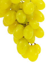 Similar image 1521179