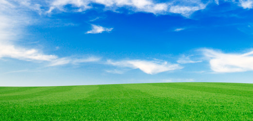 Similar image 1521183