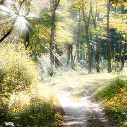 Similar image 1521184