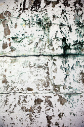 Similar image 1521202