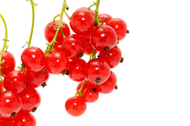 Similar image 1521235