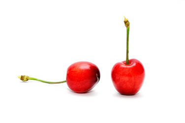 Similar image 1521240