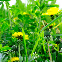 Similar image 1521244