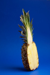 Similar image 1521299